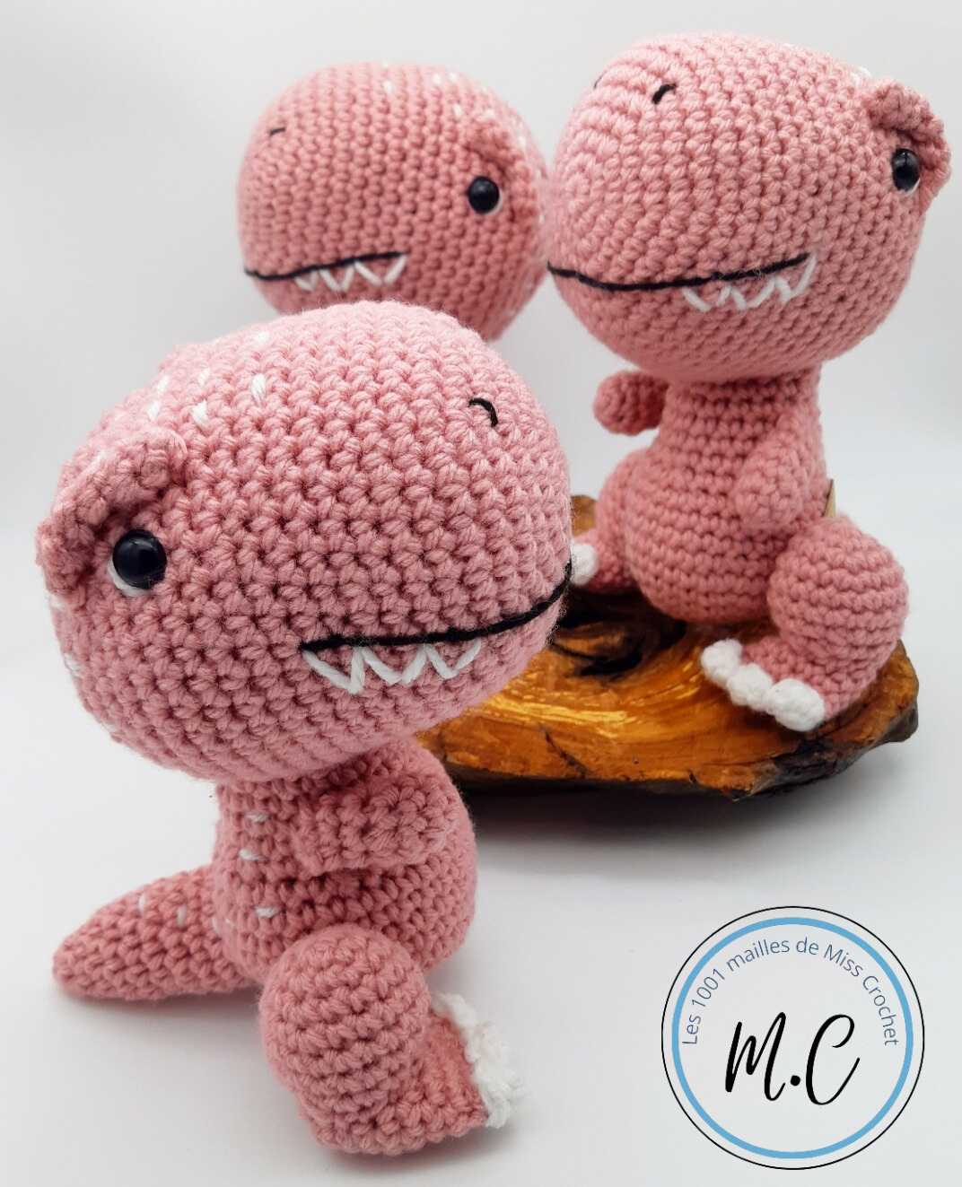 Les-1001-Mailles-de-Miss-Crochet-2