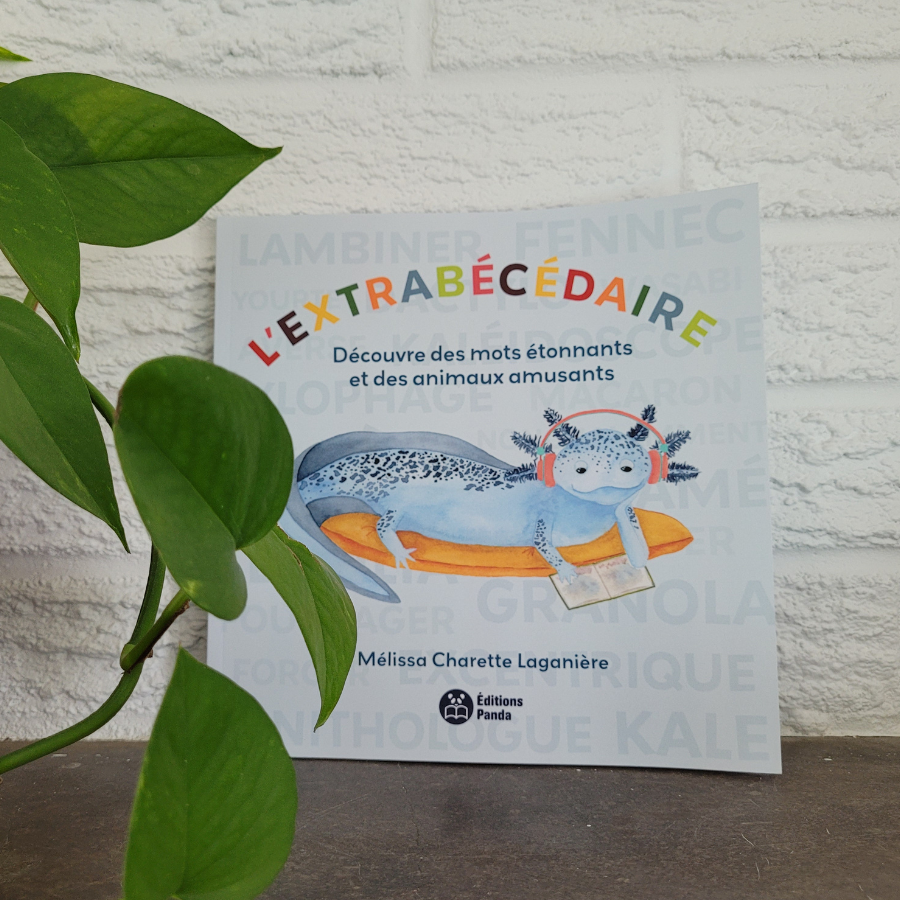 MCL-EXTRABECEDAIRE