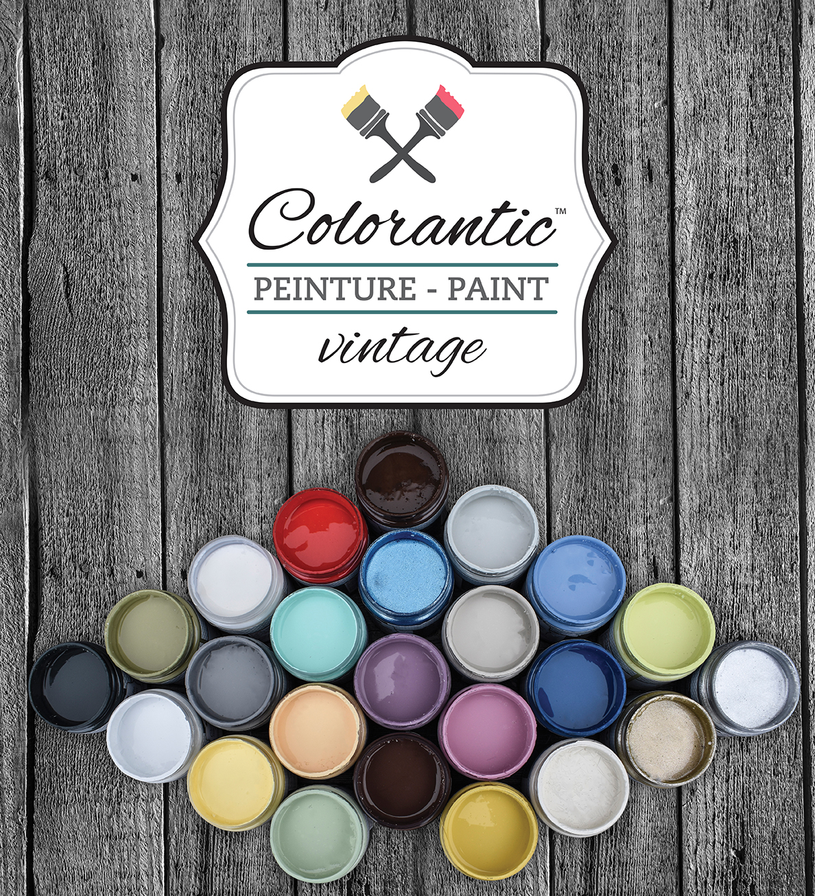 Logo-Colorantic2