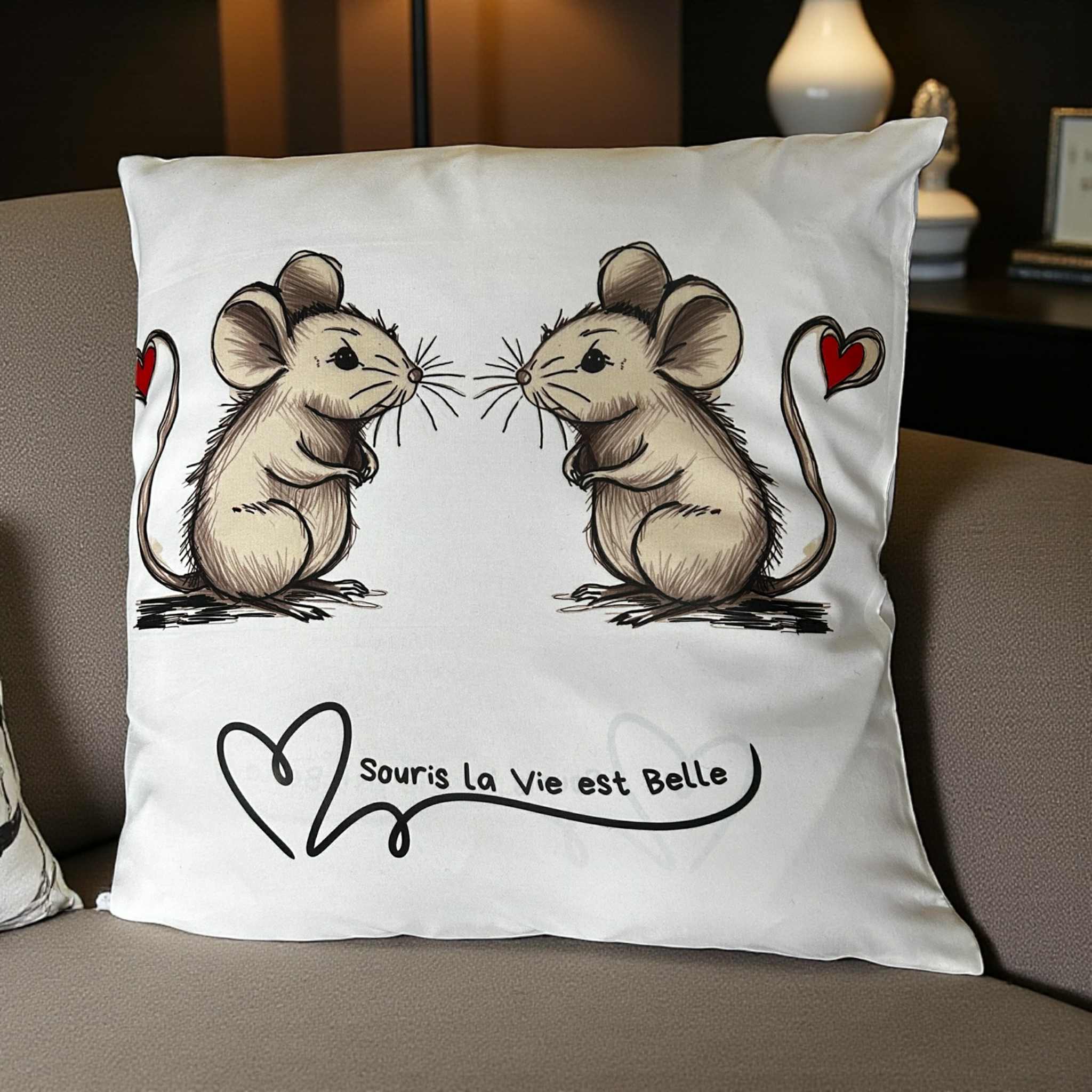 nayi la souris cussins