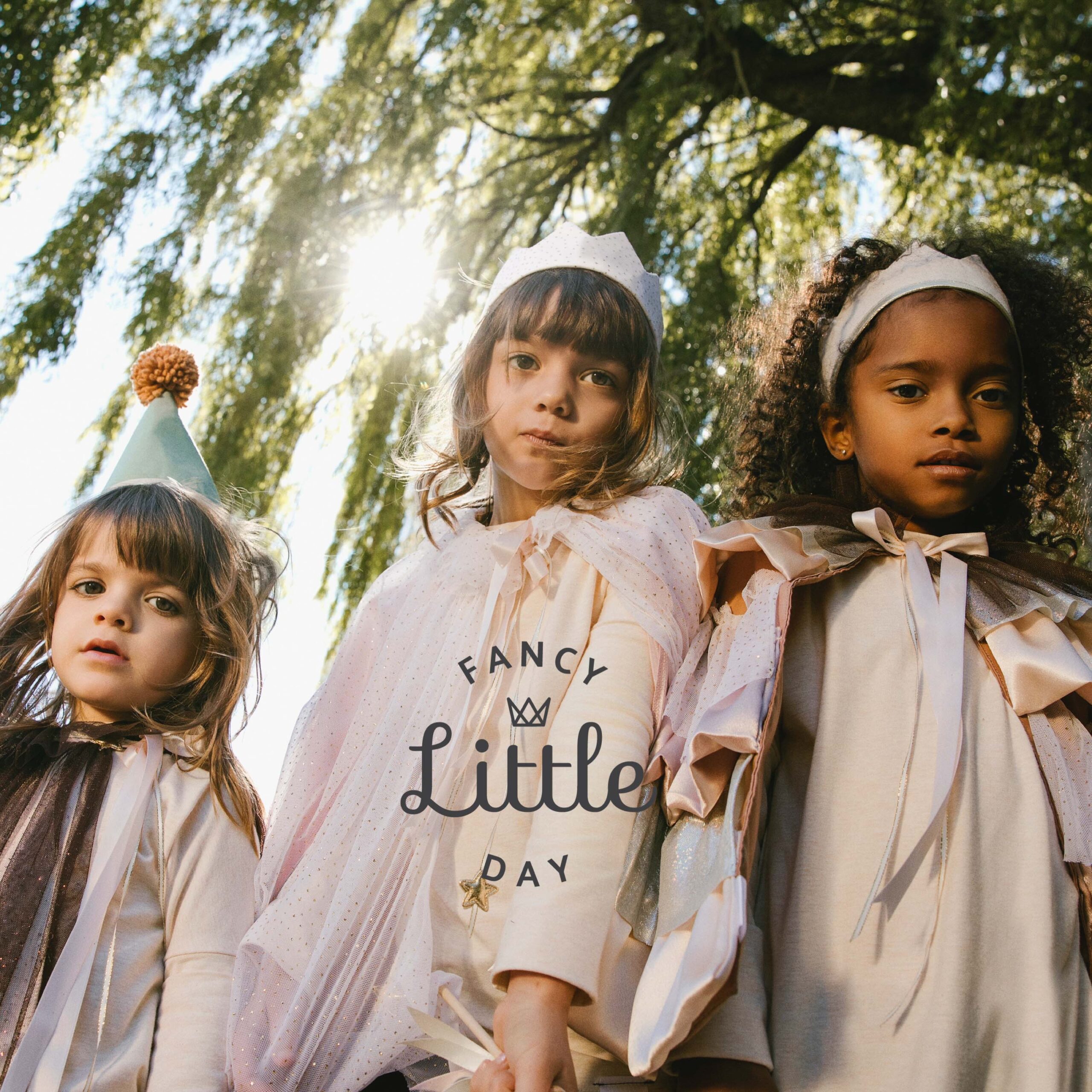 7E4B4A05-E71B-4495-84DD-B151D4F48DBF