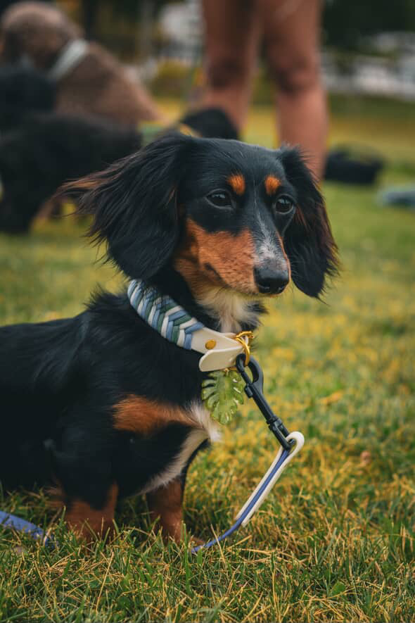 3E2025A2-5B95-4B21-A513-CA9093DDDC31