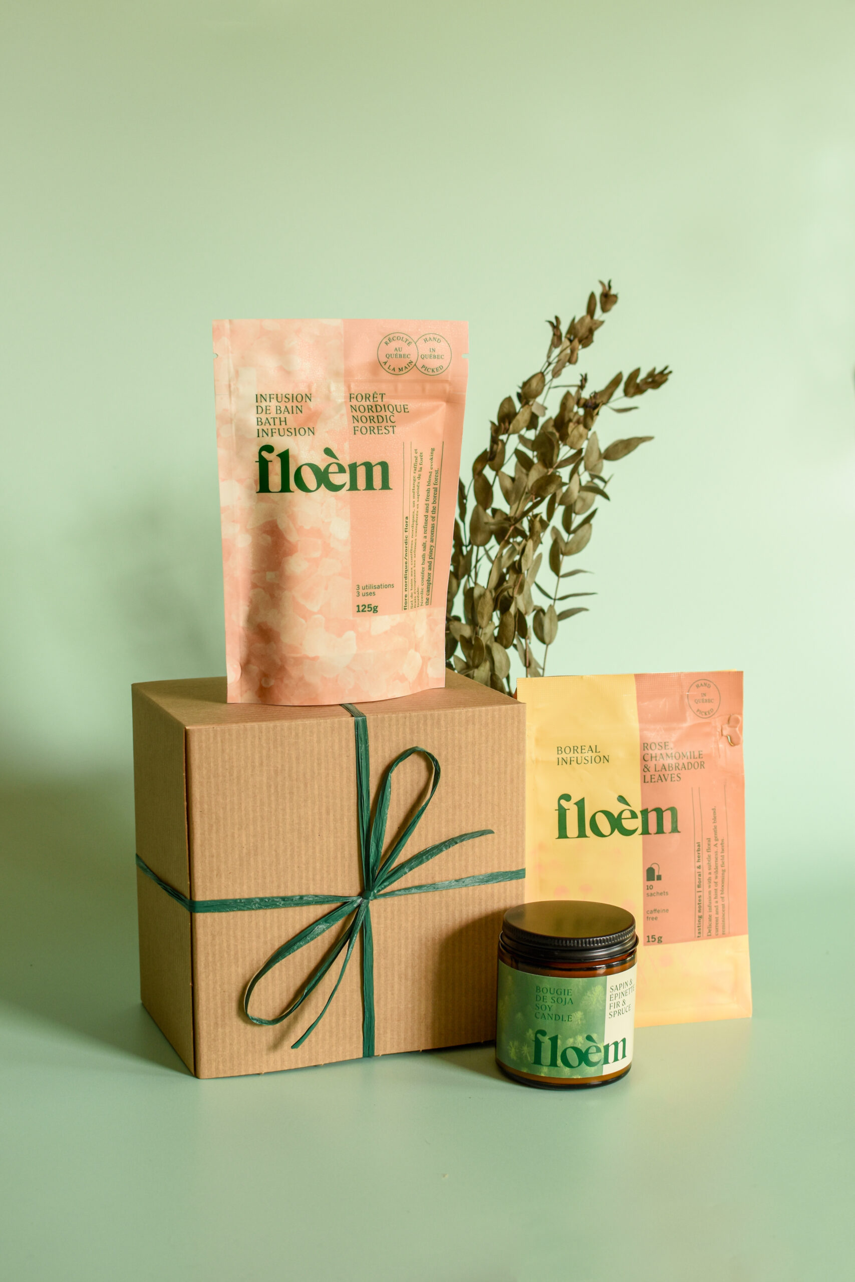 Coffret-spa-Front-modifié